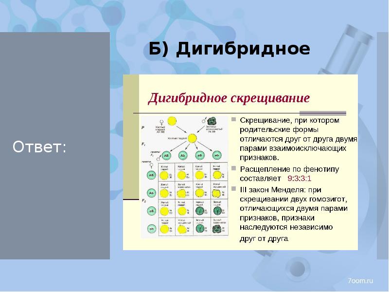 Дигибридное скрещивание схема