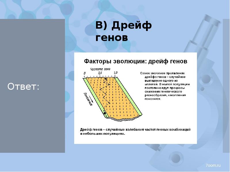 Дрейф генов причины