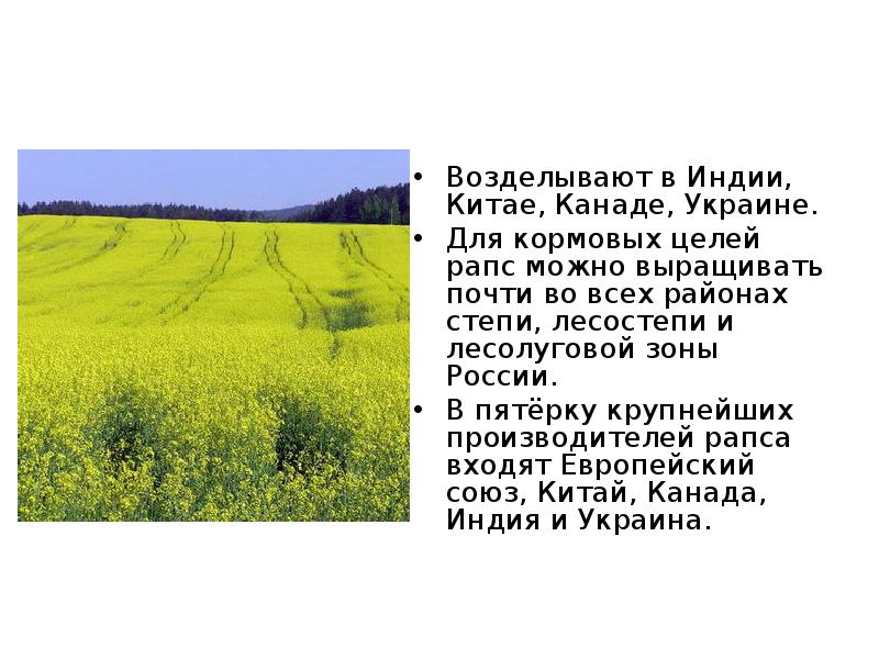 Agrarian Sector magazine, №4(38), December by ИП 