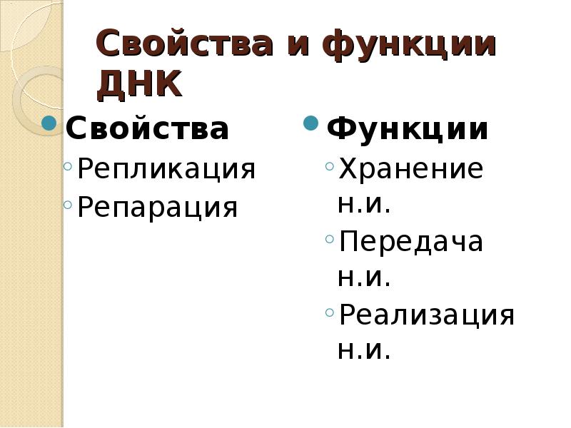 Функции днк