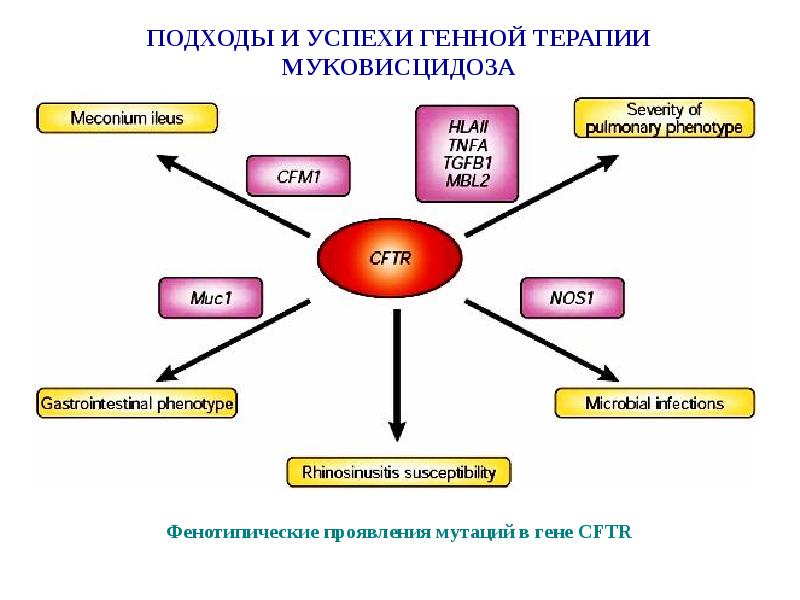 Перспективы генной терапии презентация