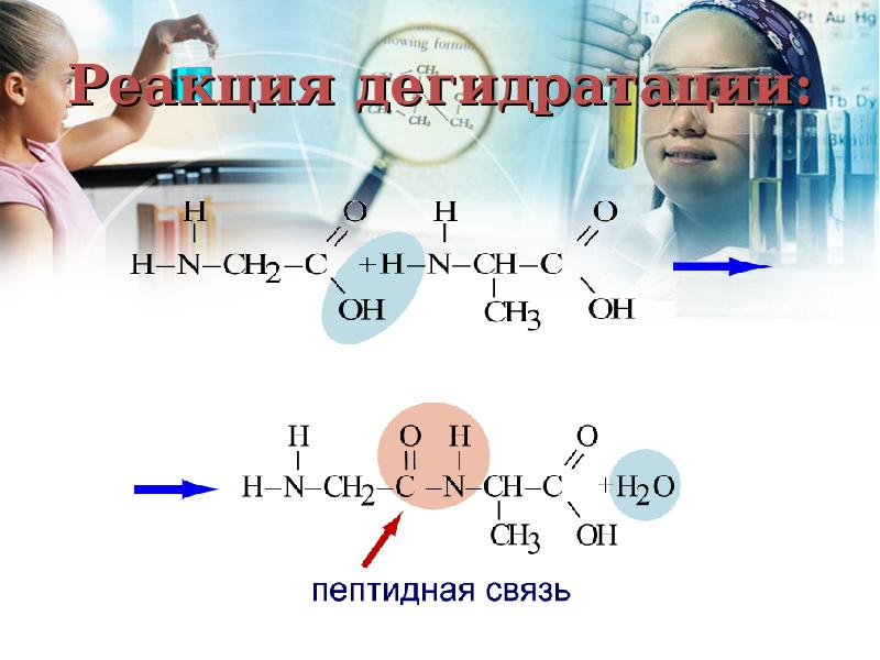 Гидратация дегидратация. Дегидратация аминокислот. Дегидратация Альфа аминокислот. Дегидратация Аминов. Дегитротация амидов.