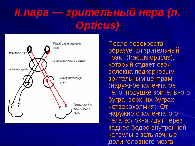 Перекрест