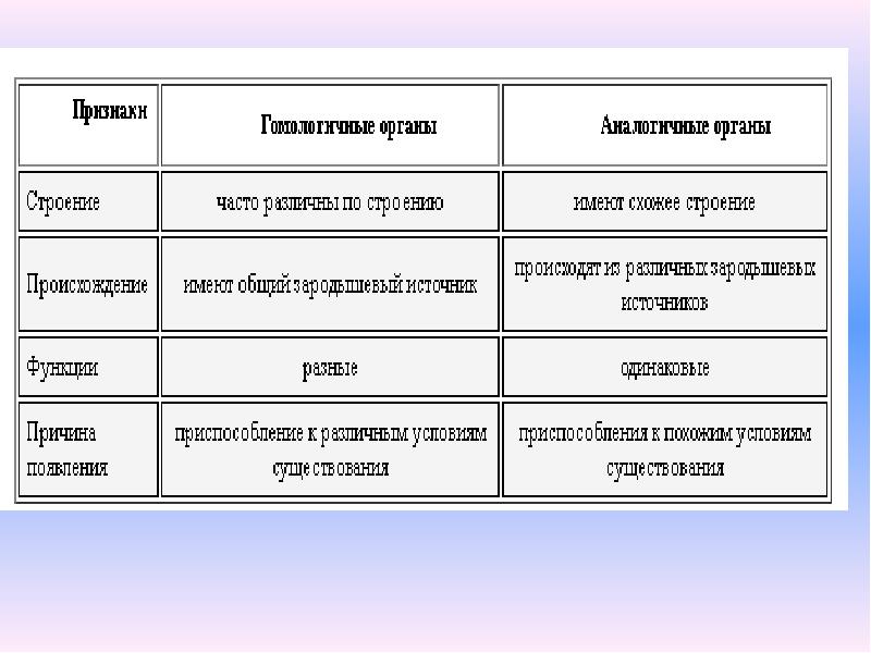 Установите соответствие аналогичные органы