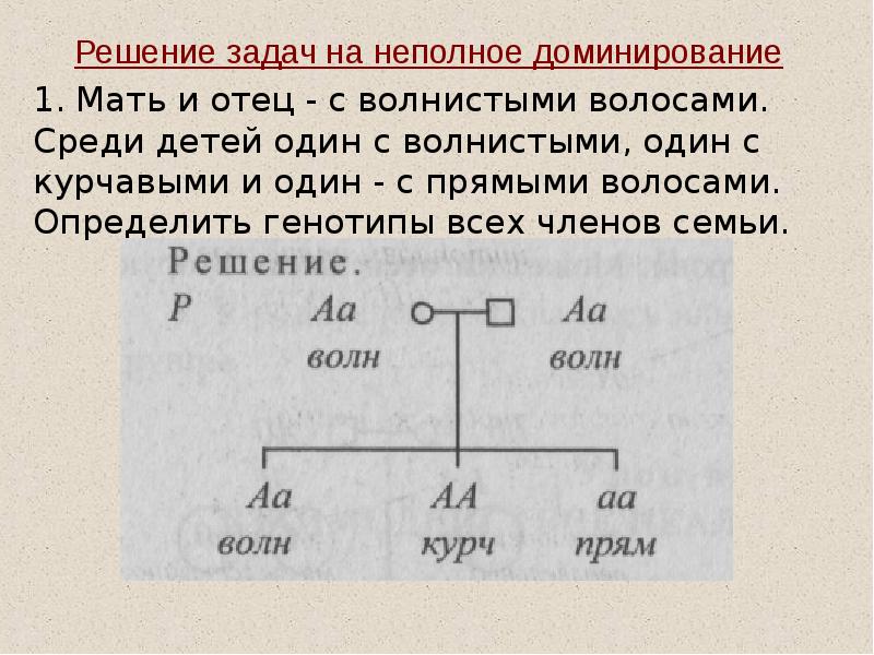 Решения задач перевозки