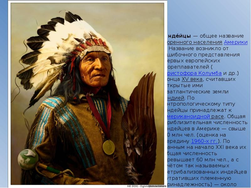 Индейцы считали. Высказывания индейцев. Поговорки индейцев. Мудрость индейцев. Индейские пословицы.