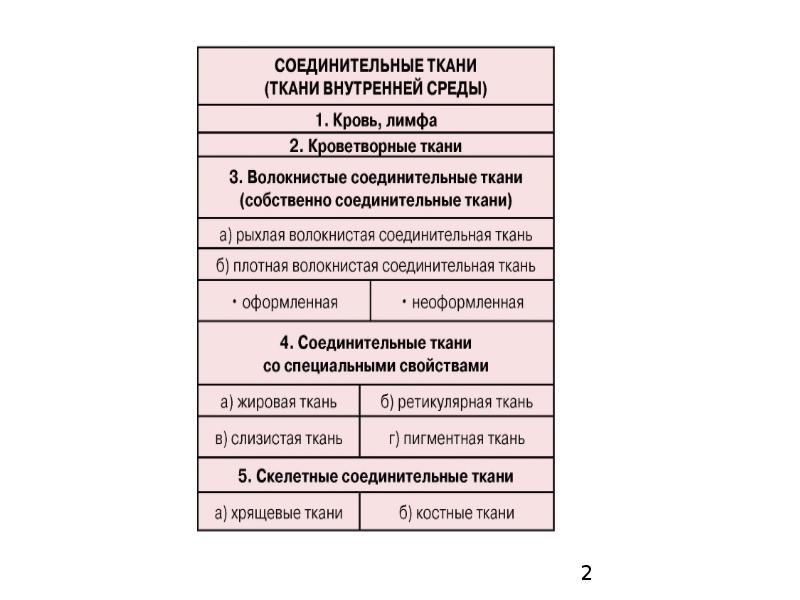 Ткани внутренней среды. Классификация тканей внутренней среды. Классификация тканей внутренней среды гистология. Морфологическая классификация тканей внутренней среды. Классификация соединительной ткани гистология таблица.