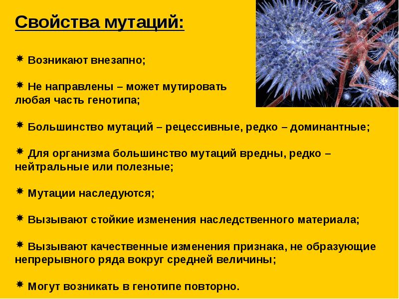 Свойства мутаций. Основные свойства мутаций. Характеристика мутаций. Общие свойства мутаций.