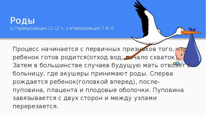 Начало род. Как начинаются роды у первородящих. Схема родов у первородящих. Роды процесс у первородящих.