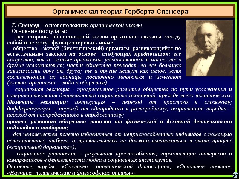 Общество с точки зрения философской науки проект