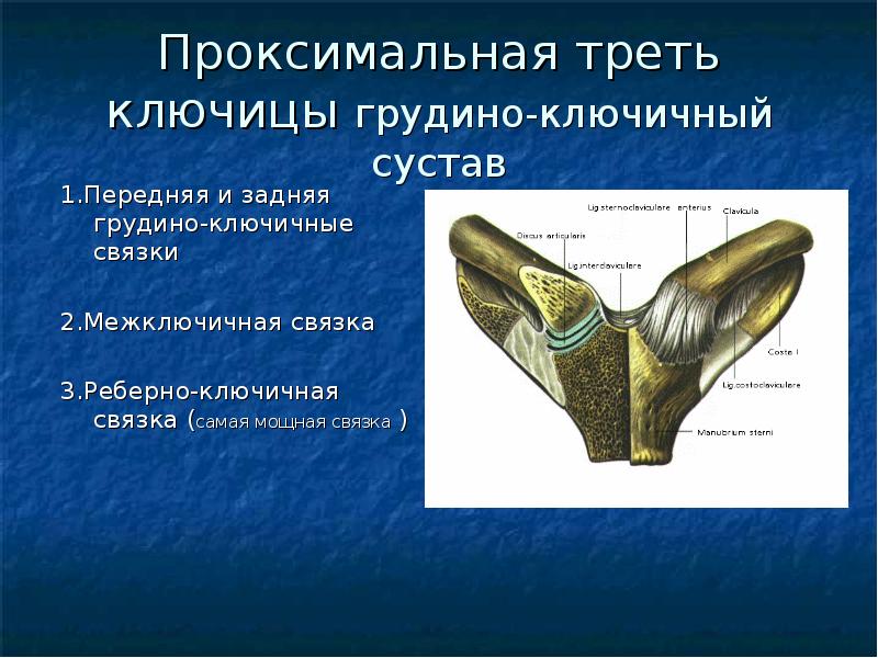 Переломы ключицы презентация