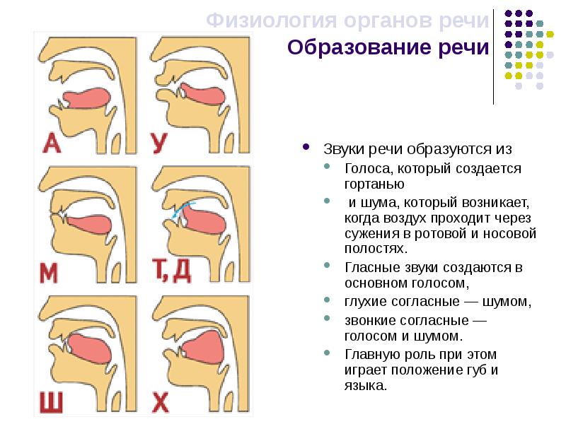 Образование звука схема