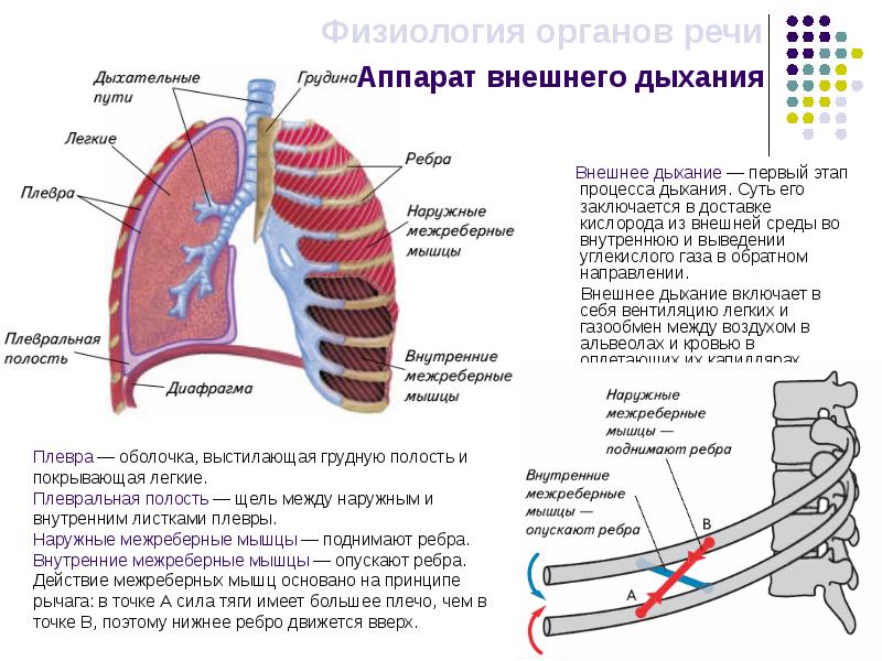 Дыхание 80