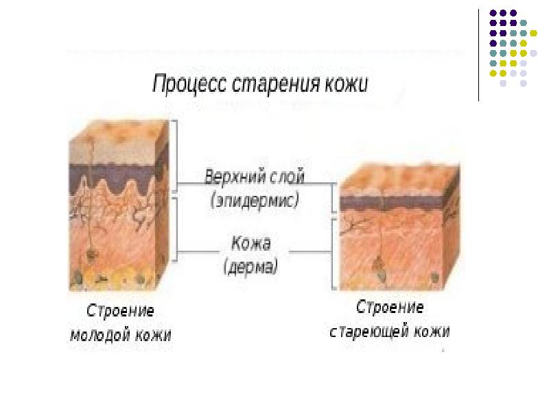 Старение кожи презентация