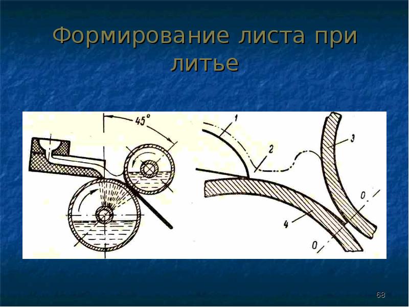 Формирование листьев. Формирование листа.