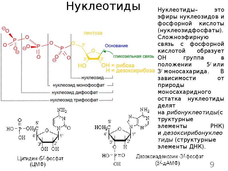 Состав цитидина отражается схемой