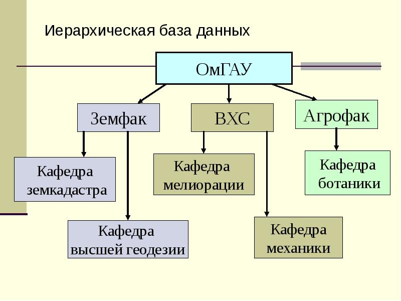 Иерархическая база. Иерархическая база данных примеры. Пример иерархической базы данных. Иерархическая БД пример. Примеры иерархий БД.