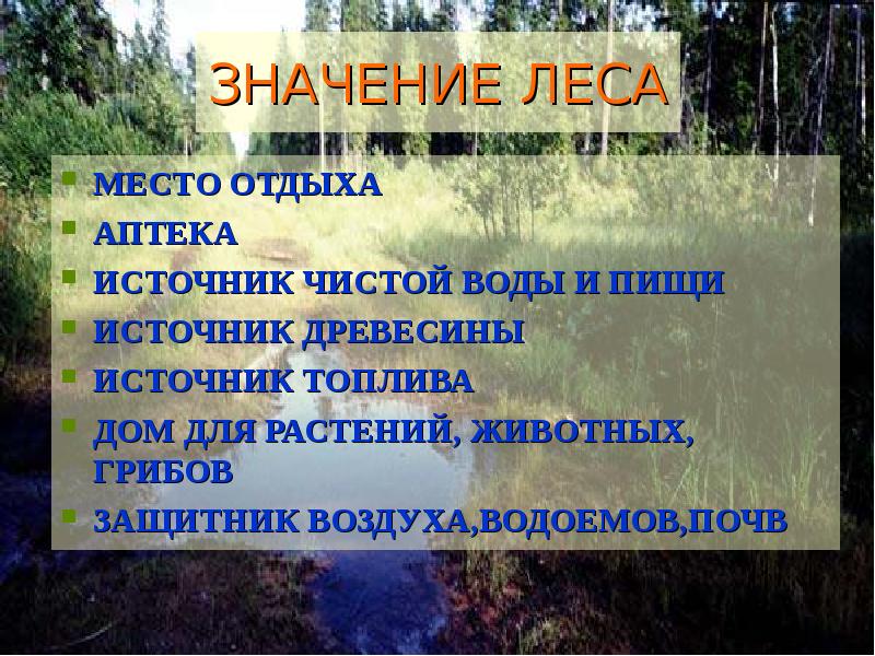 Лес и человек 4 класс окружающий мир презентация школа россии никифорова