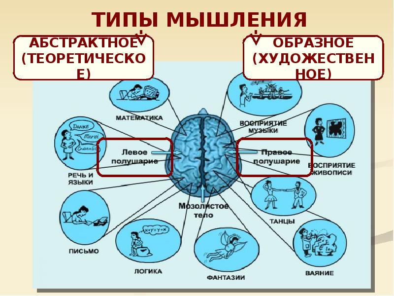 Типы мышления людей презентация