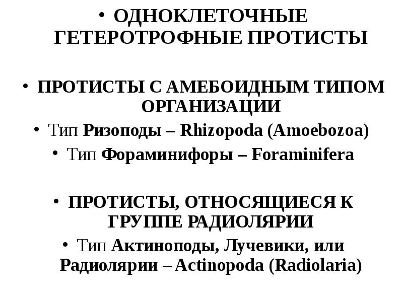 Гетеротрофные протисты. Кинетопластиды систематика. Rhizopoda СПБГУ презентация.