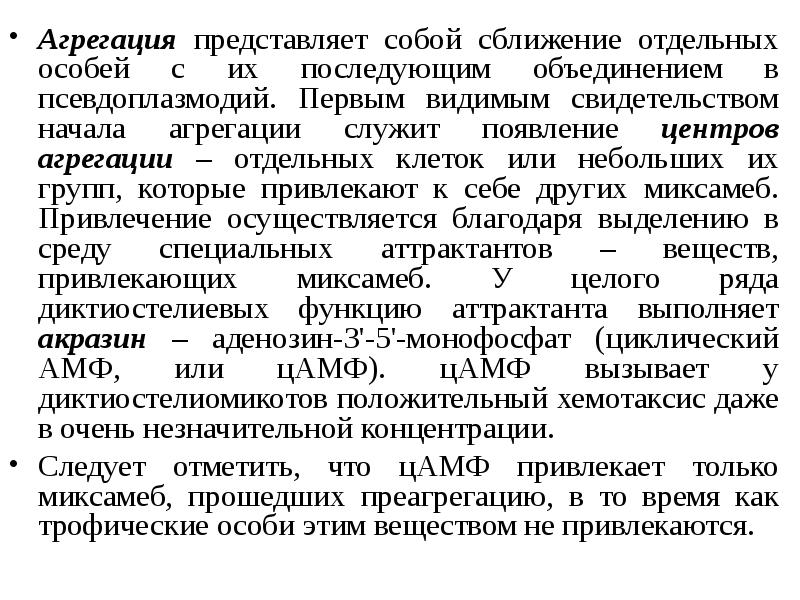 Осуществлялось привлечение. Агрегация бактерий. Агрегация в псевдоплазмодий. Типы агрегации бактерий. ЦАМФ В агрегации.