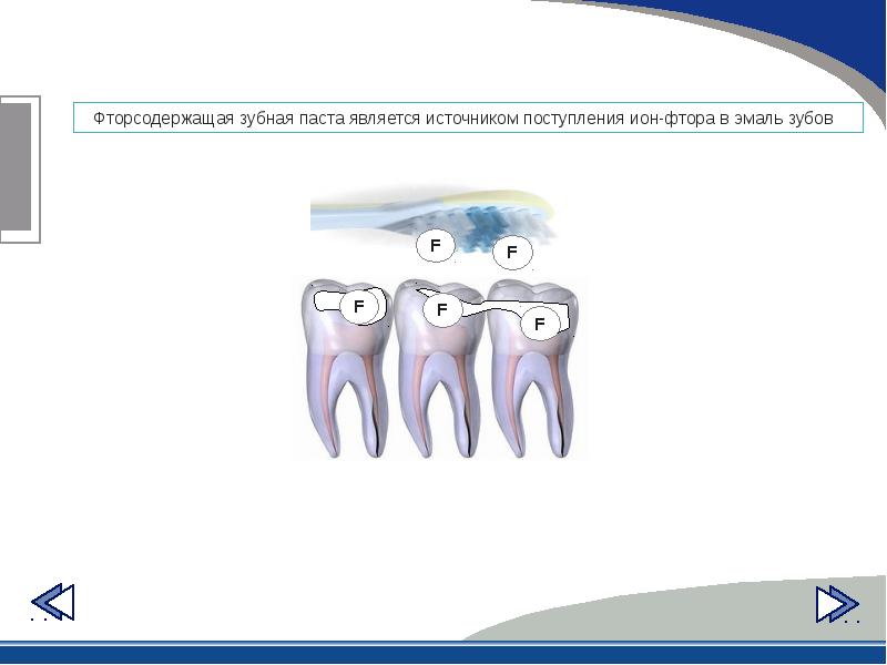 Презентация профилактика лечения зубов