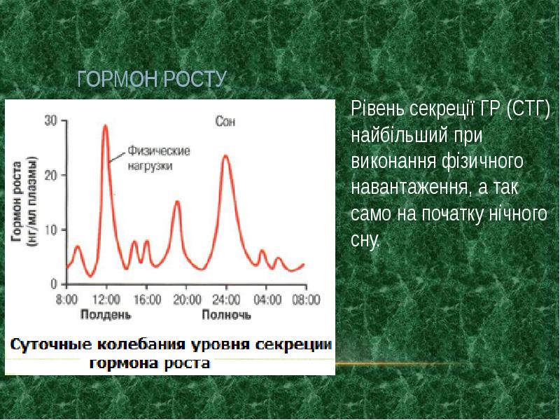 Время роста. Циркадианный ритм секреции СТГ. Суточные ритмы секреции гормона роста. Суточные колебания соматотропного гормона. Суточные колебания ТТГ.