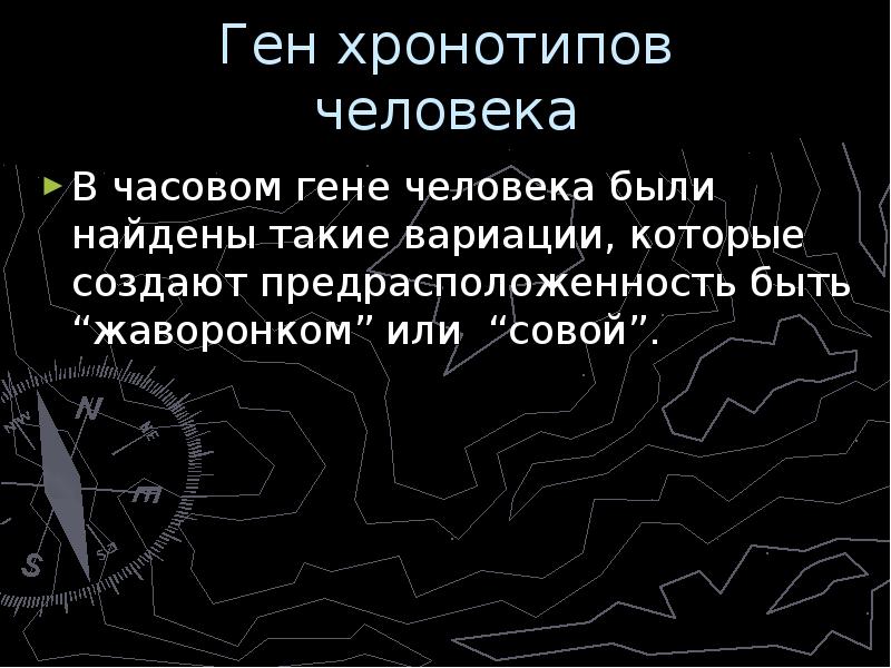 Хронотипы человека проект