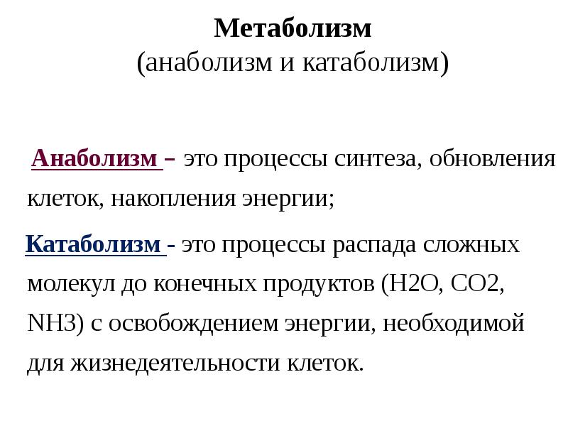 Примеры метаболизма. Анаболизм. Катаболизм и анаболизм. Процессы анаболизма. Анаболические и катаболические процессы физиология.