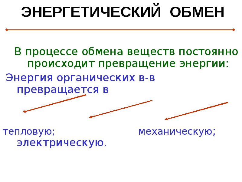 Периодически происходит. Энергетический обмен без подписей. Энергетический обмен и его этапы. Энергетический обмен физиология. Энергообмен физиология.