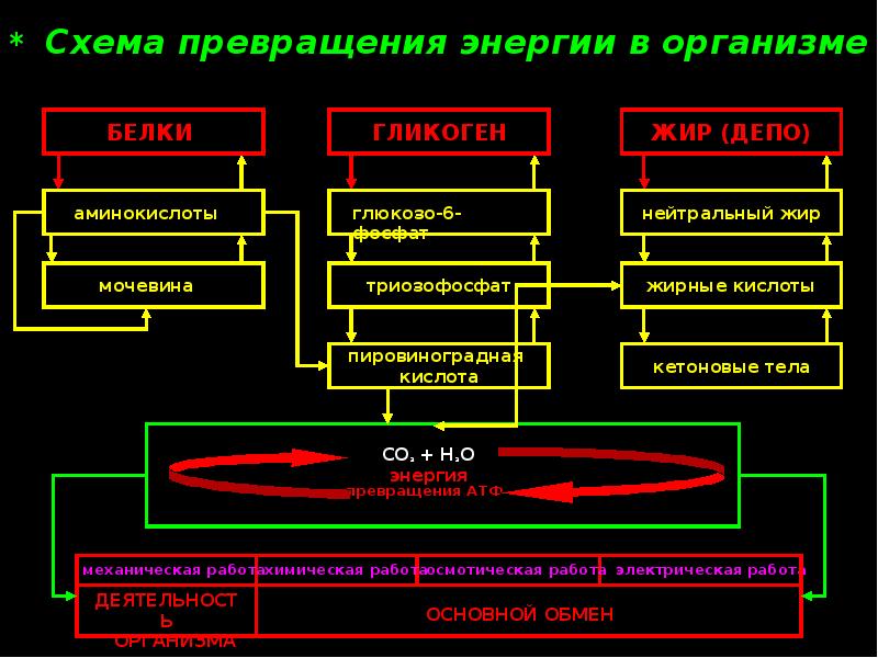 Схема превращения веществ