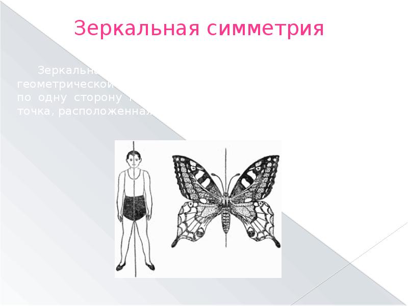 Симметрия в пространстве класс. Симметрия в жизни человека рисунок. Симметрия в литературе картинки. Симметрия в профессии доклад по изо.