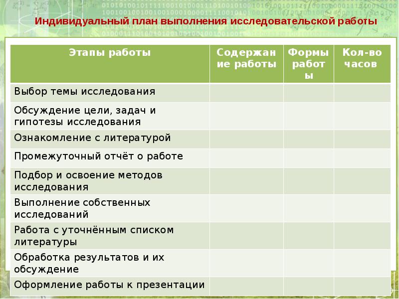 Индивидуальный план выполнения проекта