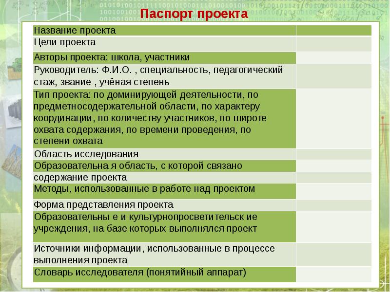 Паспорт проекта требования