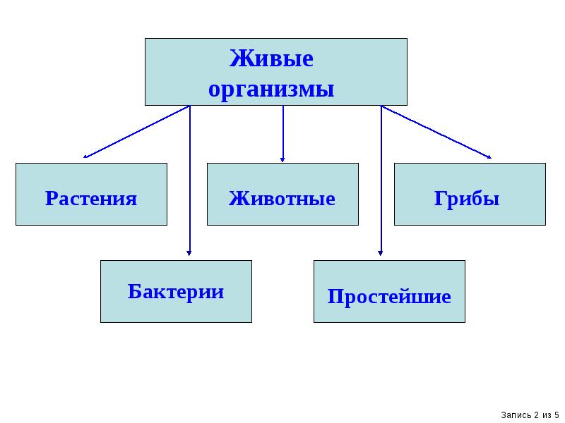 1 2 1 биология. Классификация объектов живой природы. Науки о живой природе таблица. Классификация наук о живой природе. Классификация природы схема.