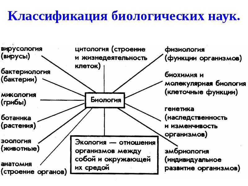 Разделы биологии схема