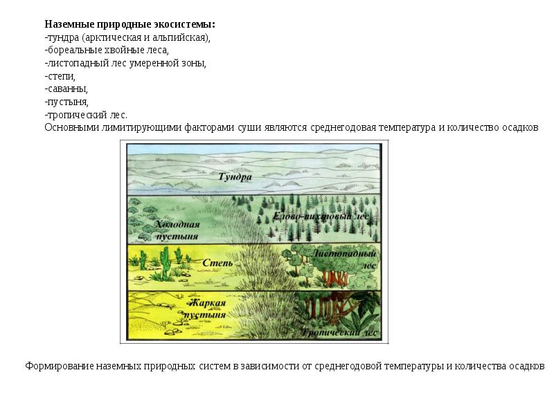 Экосистема тундры презентация