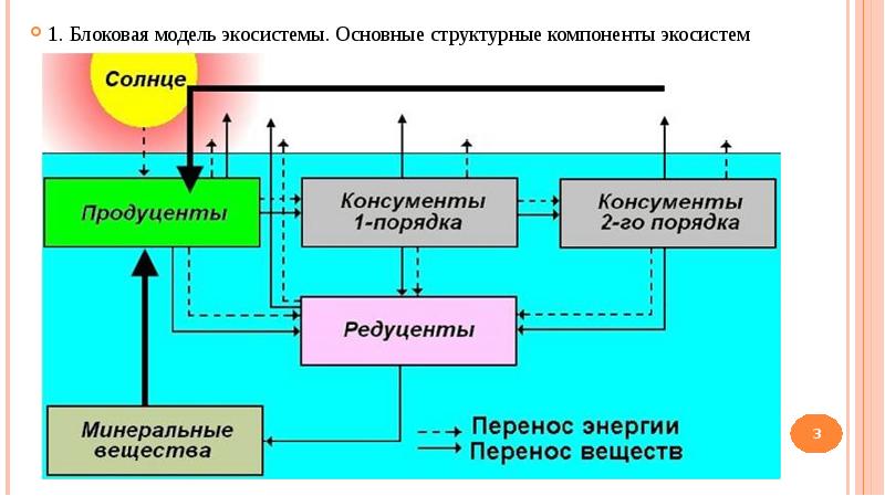 Круговорот веществ и превращение энергии в экосистеме 11 класс презентация