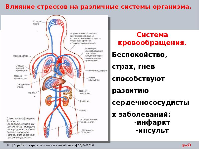 Методы борьбы со стрессом презентация