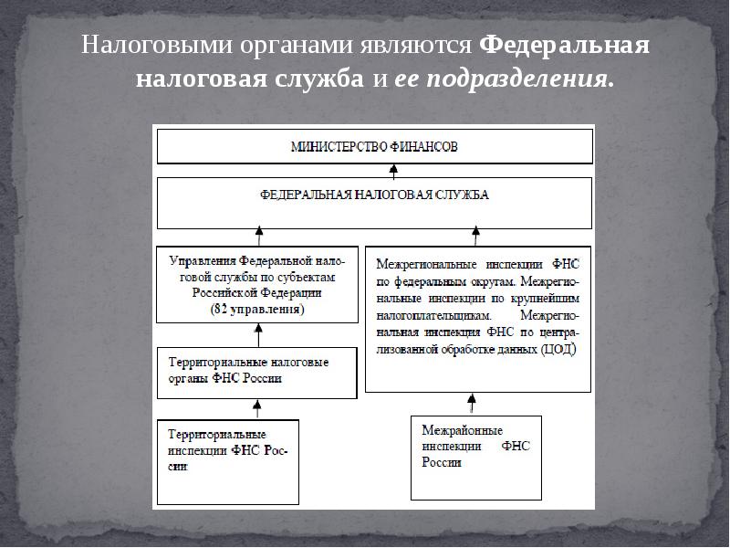 Федеральная налоговая служба презентация