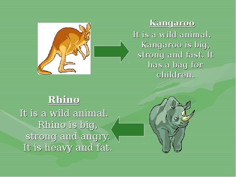 Wild animals презентация