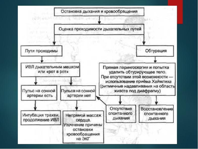 Первая помощь при отсутствии кровообращения остановке сердца презентация