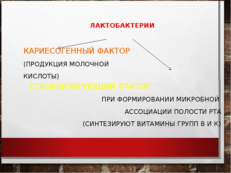 Продукция фактор. Лактобактерии в полости рта. Лабтобактерии пллости РТП. Слайды лактобактерии ротовой полости. Деятельность лактобактерий в полости рта.