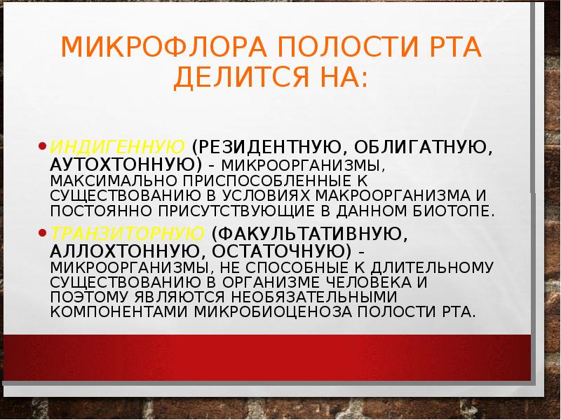 Презентация на тему микрофлора полости рта