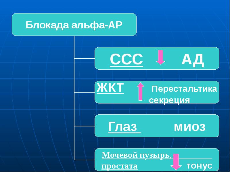 Секреция глаз. Альфа блокада это.