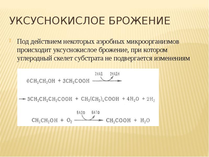 Уксуснокислое брожение презентация