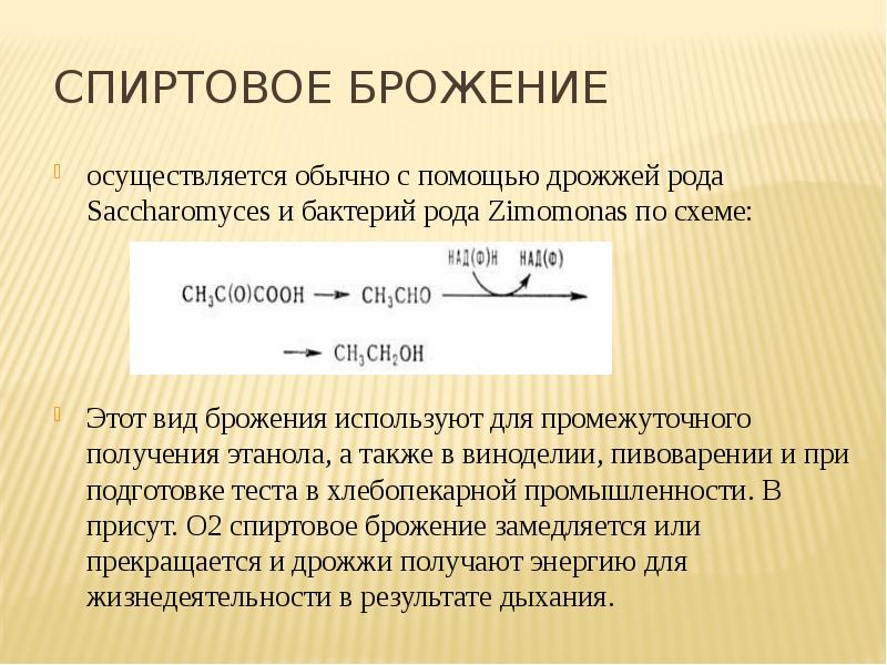 Презентация брожение спиртовое брожение