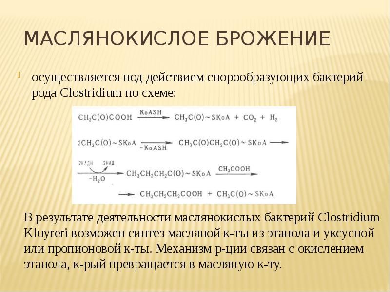 Сравнение брожений