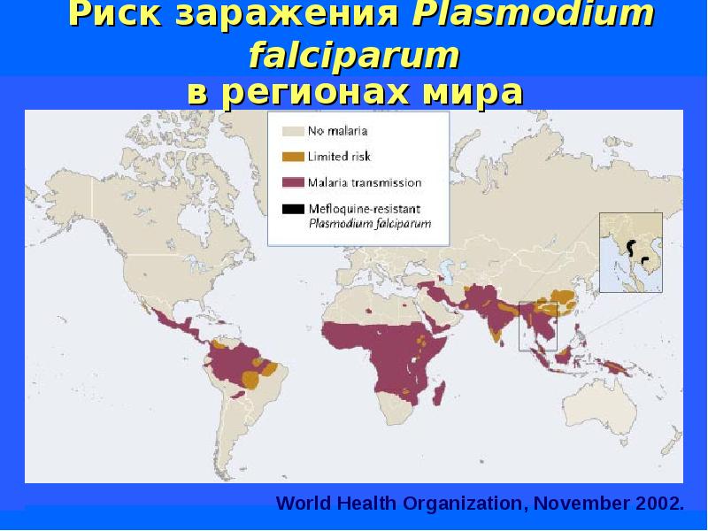 Малярия распространена. Малярия риск заражения. Карта распространения малярии. Распространение малярии в мире. Plasmodium falciparum распространение.