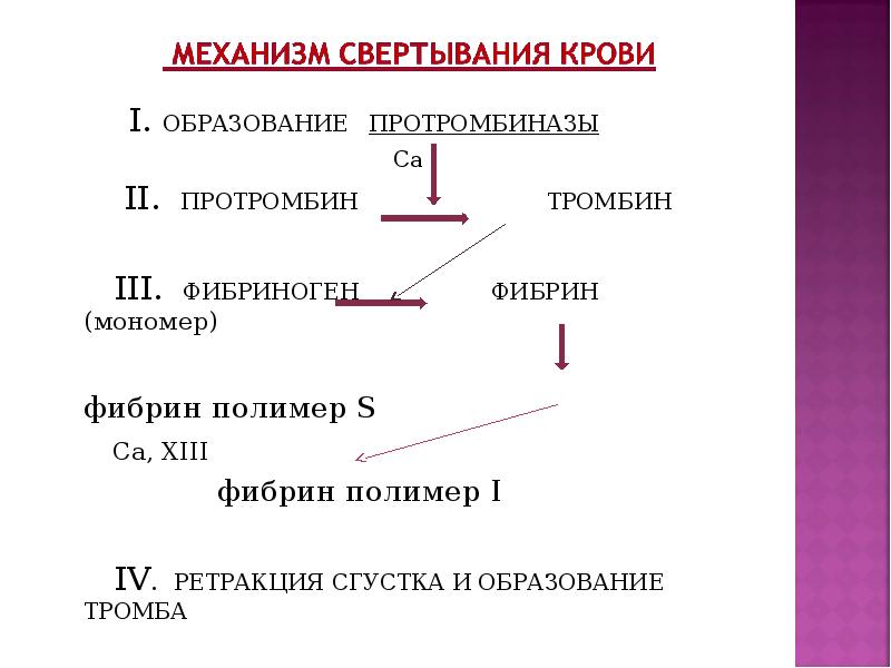 Схема образования фибринового тромба